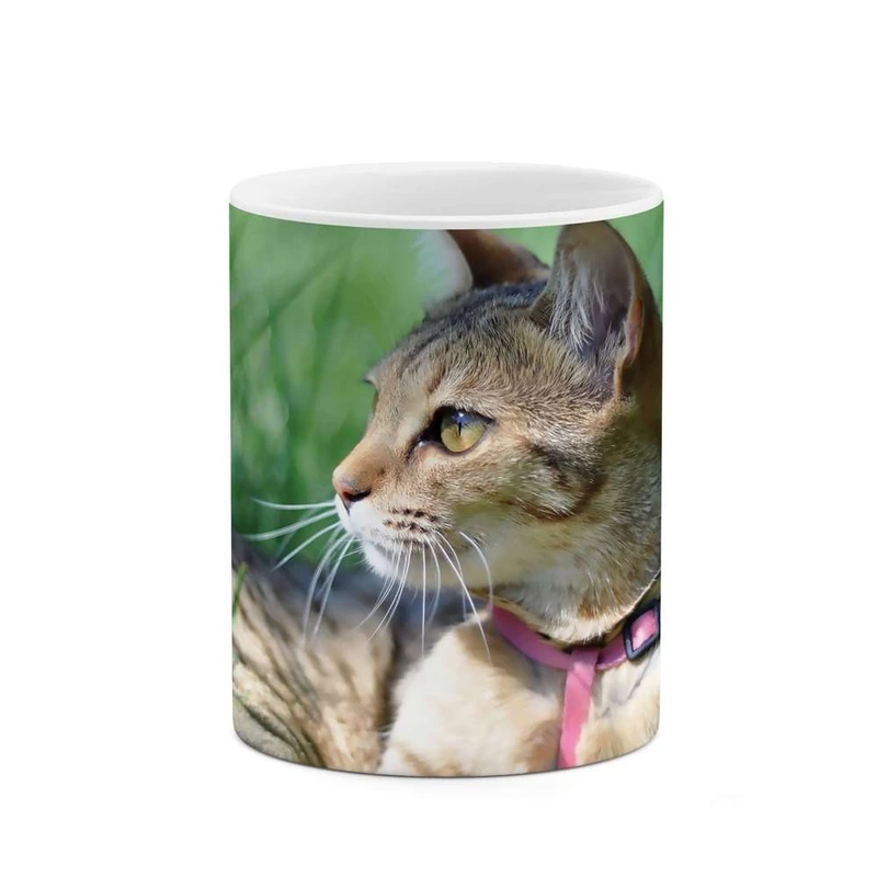 ماگ کاکتی مدل گربه کد mgh10077