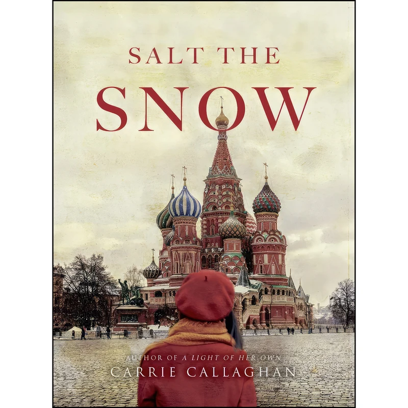 کتاب Salt the Snow اثر Carrie Callaghan انتشارات Amberjack Publishing