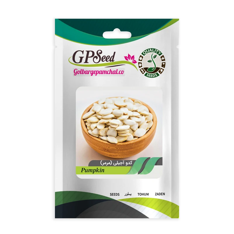 بذر کدو آجیلی مرمری گلبرگ پامچال کد GPF-223