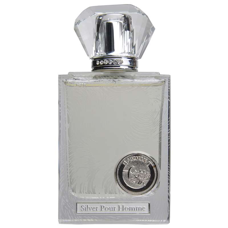 ادوپرفیوم مردانه فوژان مدل FUZHAN SILVER POUR HOMME حجم 80 میلی لیتر