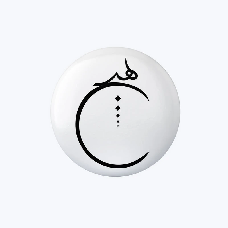 پیسکل مدل هیچ کد DP255