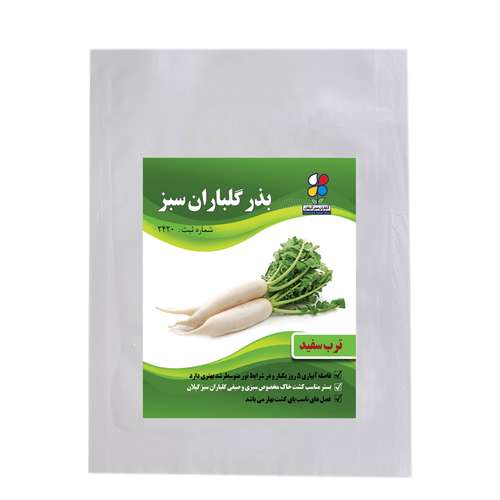 بذر ترب سفید شرکت گلباران سبز گیلان  کد TS1