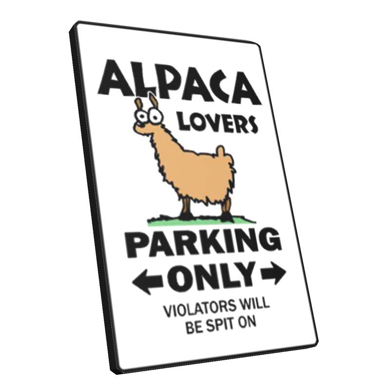 پیکسل مدل Lama06 پیکسل مدل Lama06