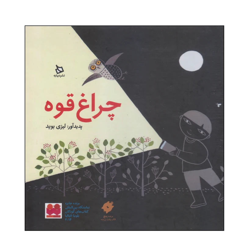 کتاب چراغ قوه اثر لیزی بوید انتشارات دیبایه