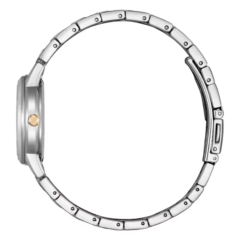 ساعت مچی عقربه ای زنانه سیتی زن مدل FE1244-72A