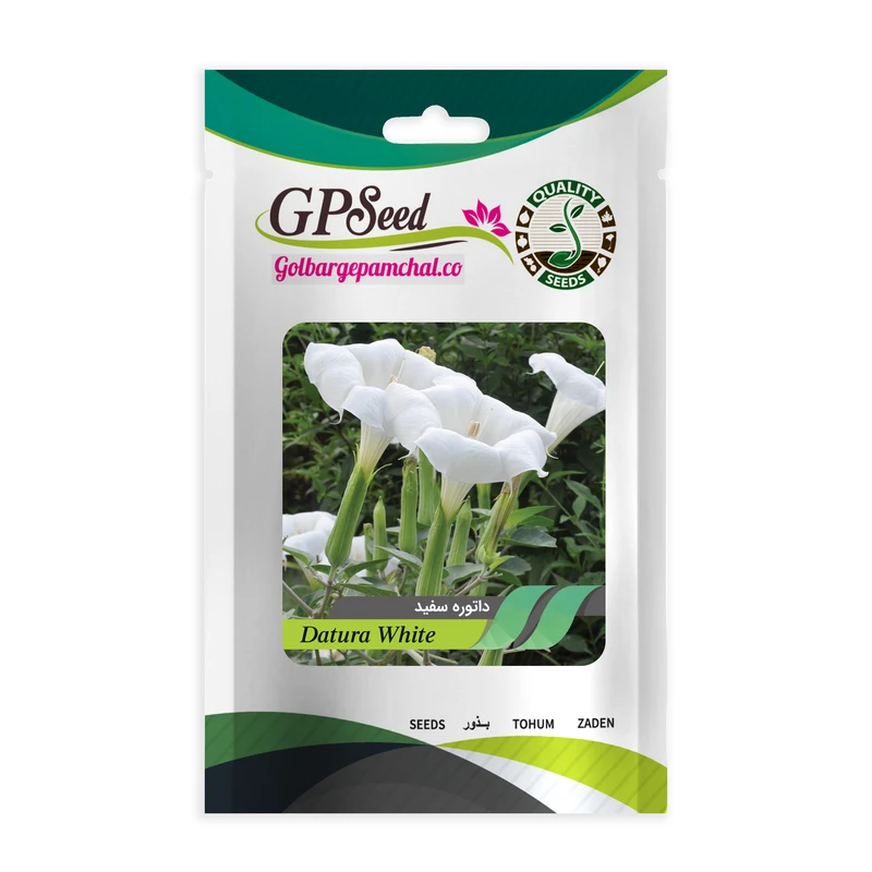 بذر گل داتوره پابلند سفید گلبرگ پامچال کد GPF-049