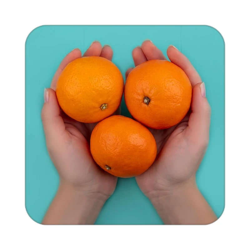 زیر لیوانی کاکتی طرح میوه مدل mp22549