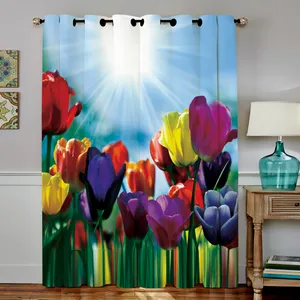 C4-50801 Curtain