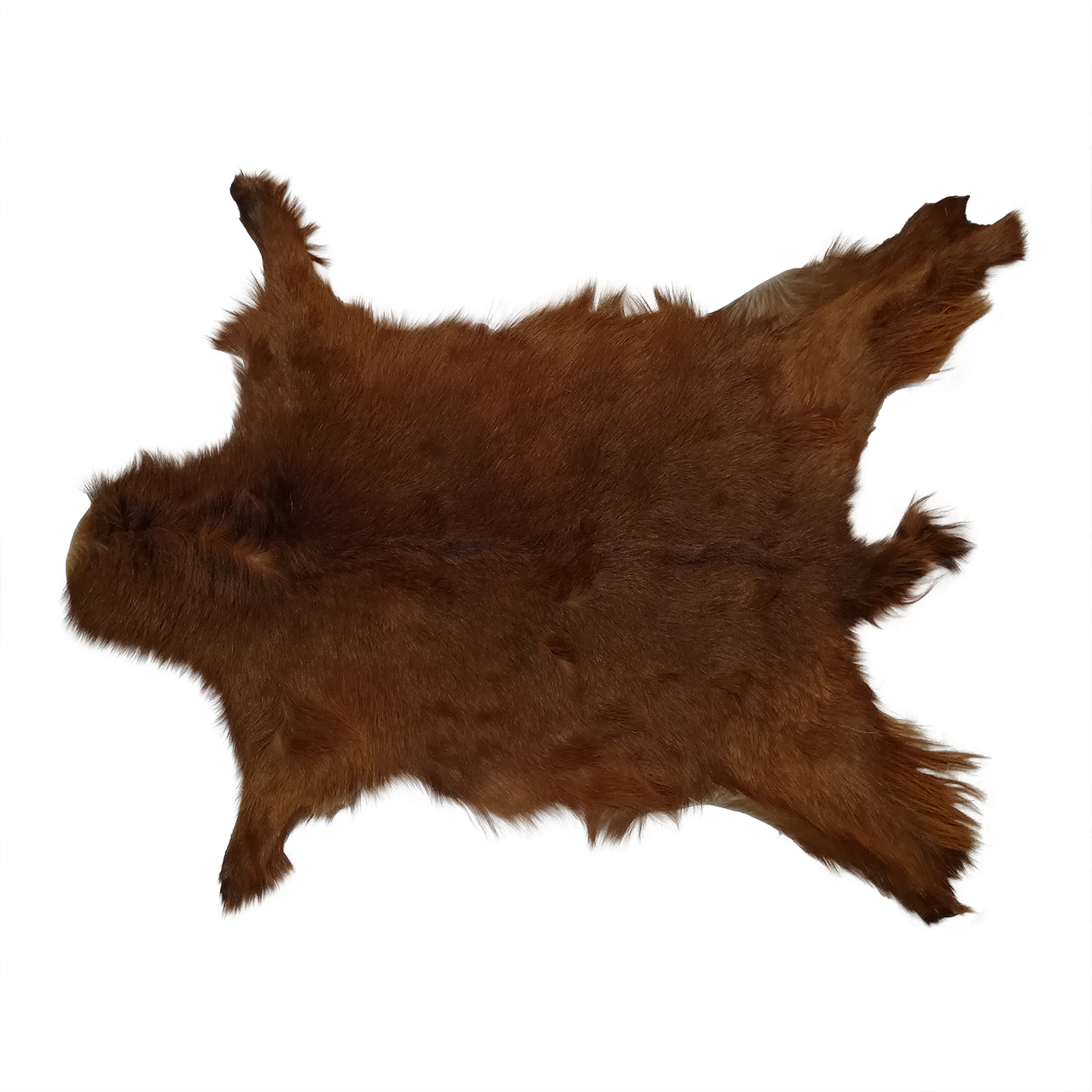 فرش پوست طبیعی کمالی مدل AC-00184