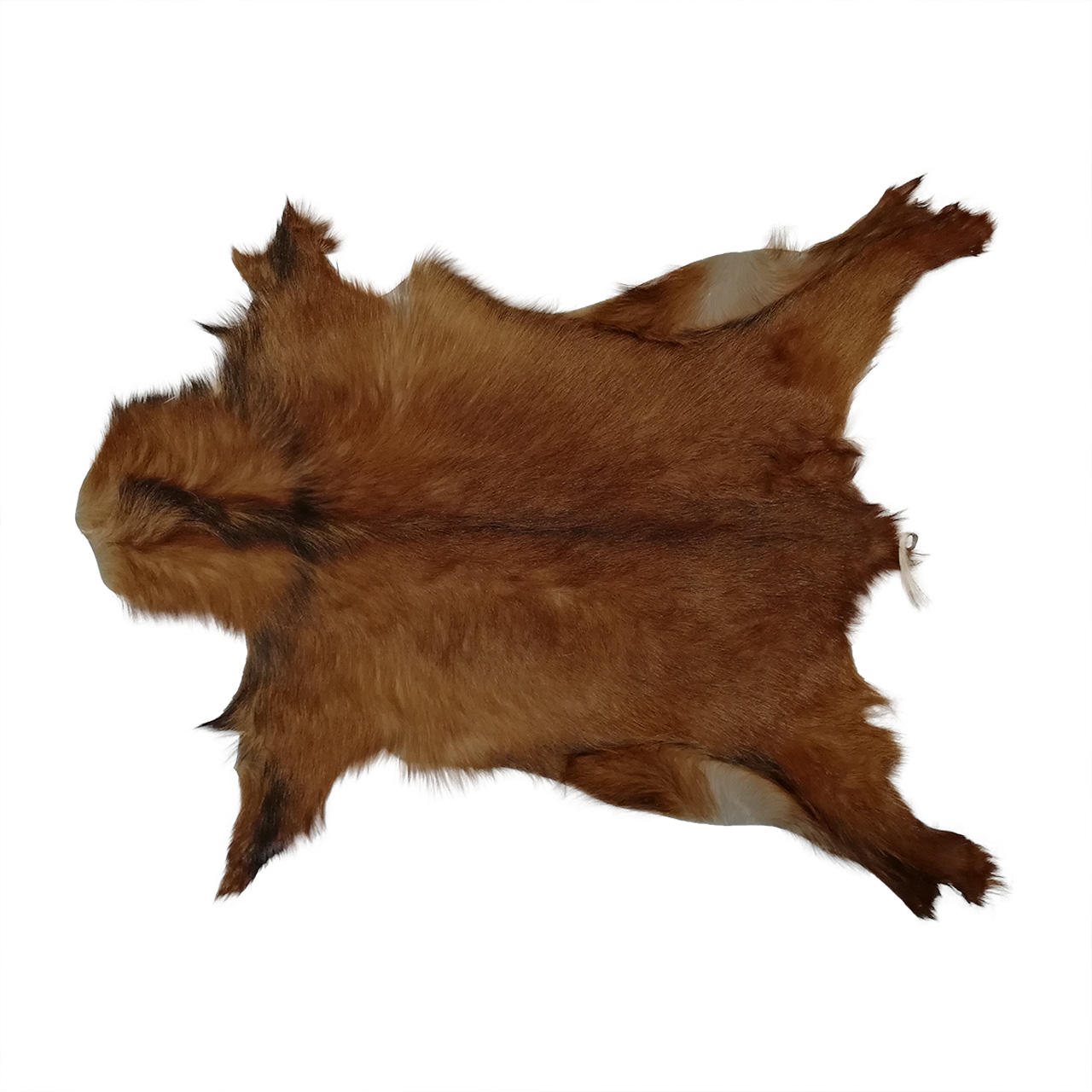 فرش پوست طبیعی کمالی مدل AC-00185