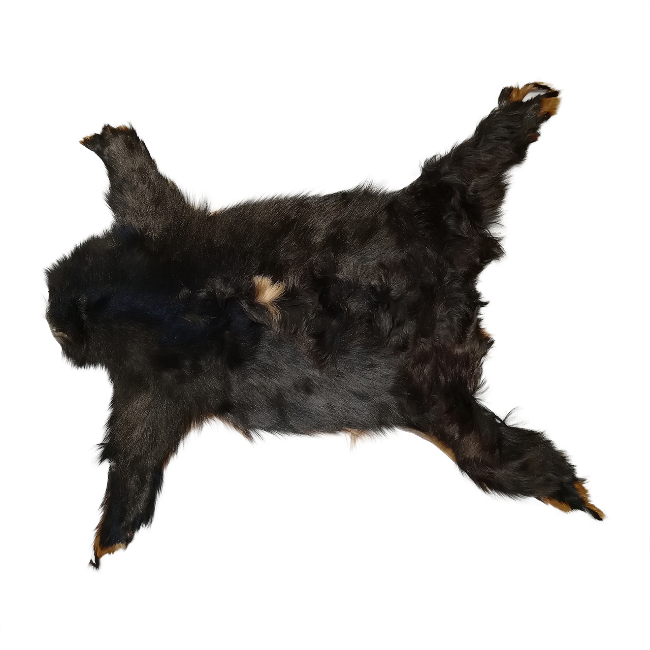 فرش پوست طبیعی کمالی مدل AC-00190