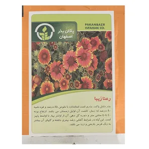 بذر گل رعنا زیبا پاکان بذر