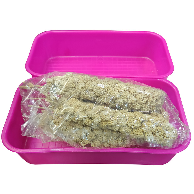 غذای پرنده مدل ارزن خوشه ای بسته 12 عددی