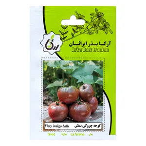 بذر گوجه چروکی بنفش  آرکا بذر ایرانیان مدل B165
