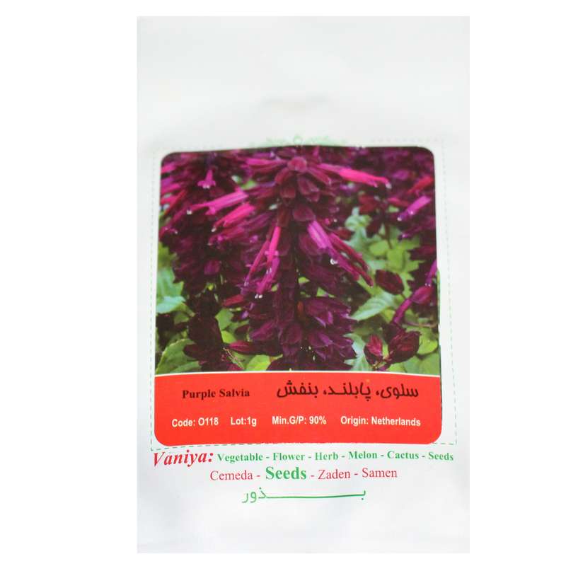 بذر گل سلوی پا بلند بنفش آذر سبزینه مدل A123 بذر گل سلوی پا بلند بنفش آذر سبزینه مدل A123