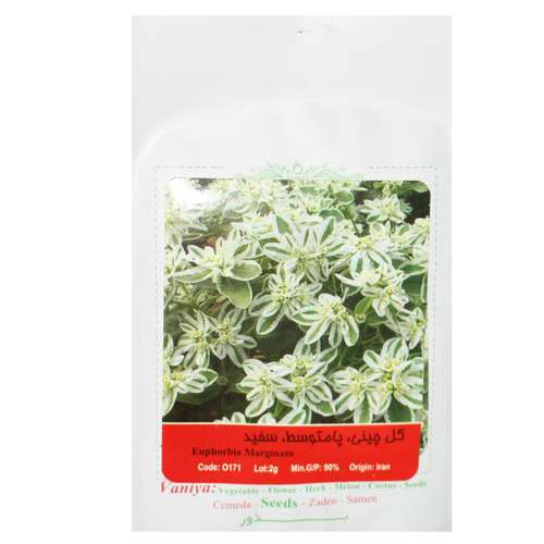 بذر گل چینی پا متوسط سفید آذر سبزینه مدل A141