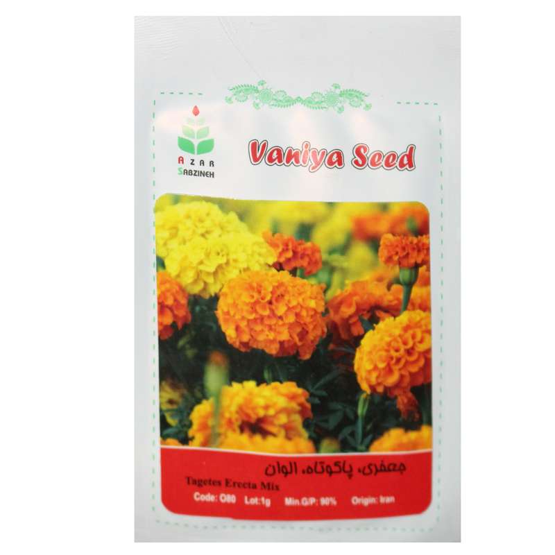 بذر گل جعفری پا کوتاه الوان آذر سبزینه مدل A144