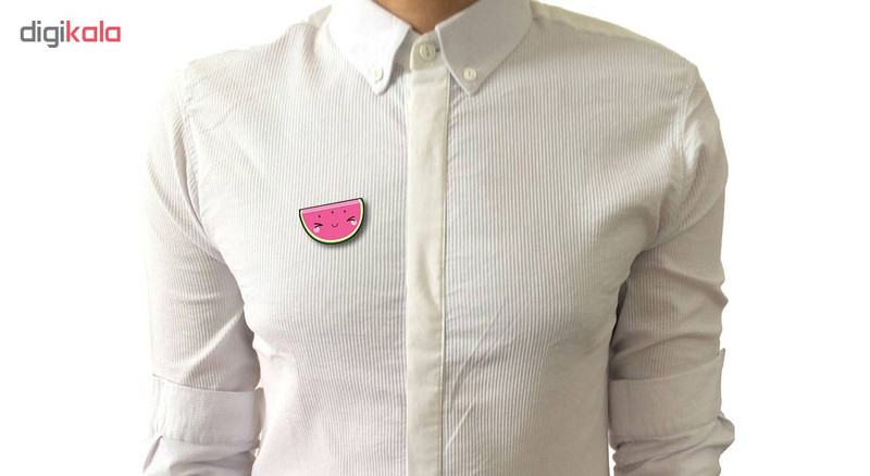 پیکسل مدل Food11