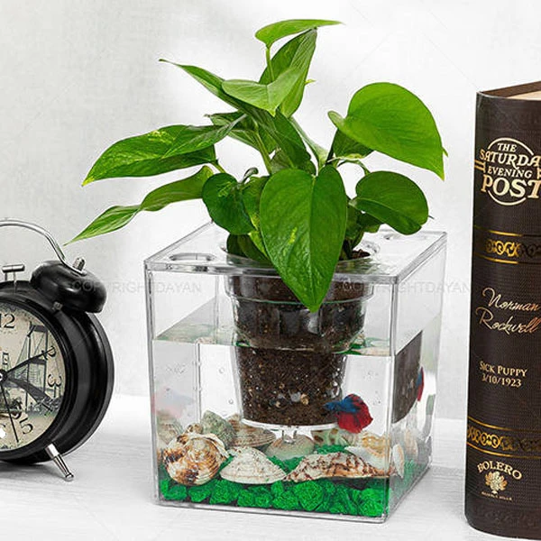 عکس شماره 4 : آکواریوم مدل دوزیست