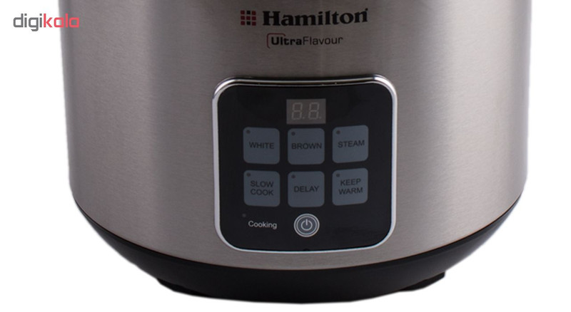 پلوپز همیلتون مدل RH-289