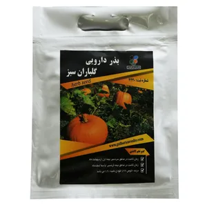 بذر کدو تخم کاغذی گلباران سبز