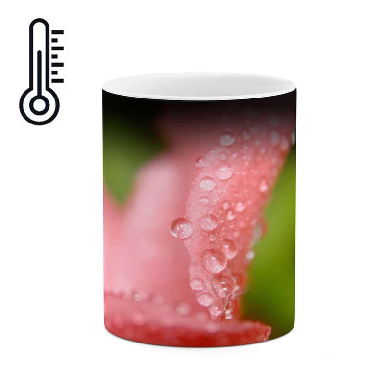 ماگ حرارتی کاکتی مدل شبنم کد mgh12066