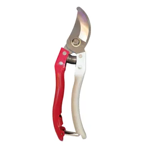 قیچی باغبانی  زیان هی مدل SK5