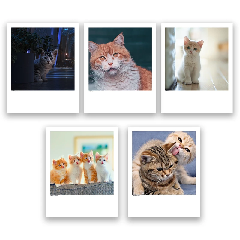 آویز تزیینی عرش مدل فانتزی گربه کد Asa100 مجموعه پنچ عددی