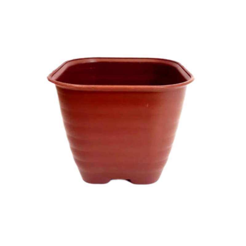 گلدان مدل مربع کد A_10 بسته 20 عددی گلدان مدل مربع کد A_10 بسته 20 عددی