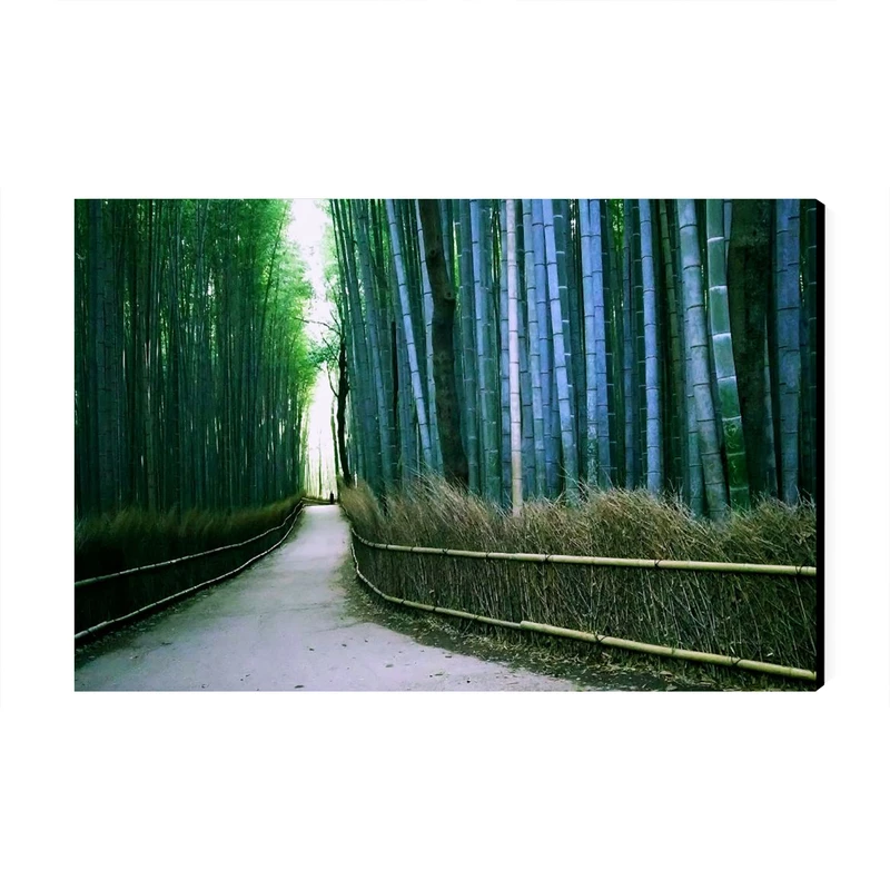تابلو شاسی عرش طرح گردشگری ژاپن مدل جنگل بامبو آراشیاما کد As6139