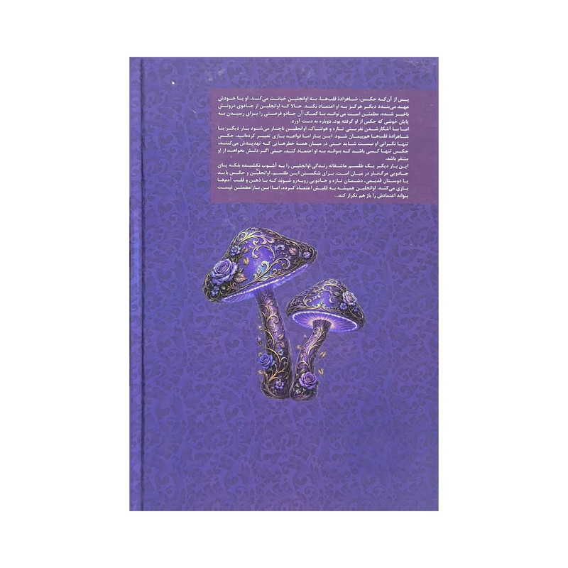 کتاب افسانه بی‌فرجام اثر استفنی گاربر نشر کتاب مجازی