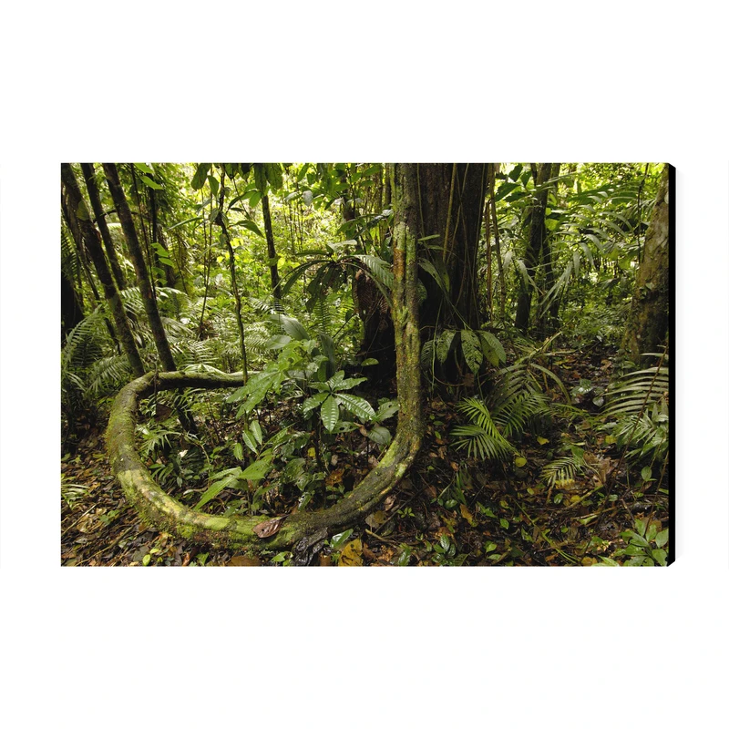 تابلو شاسی عرش مدل فانتزی طبیعت جنگل کد As3999