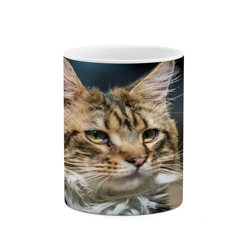 ماگ کاکتی مدل گربه کد mgh16741