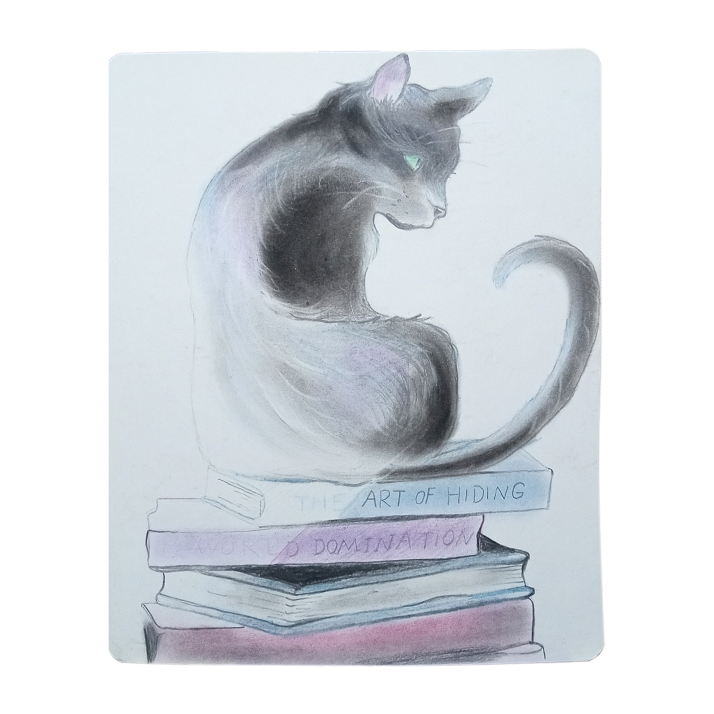 نقاشی پاستل به سبک رئالیسم مدل Illustrated cat