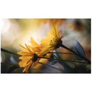 پادری مدل آفتابگردان کد M45191 سایز 46x76 سانتیمتر 