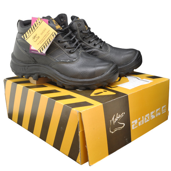 پوتین ایمنی مدل زاگرس