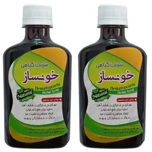 شربت گیاهی خونساز جالینوس - 260 میلی لیتر  بسته 2 عددی