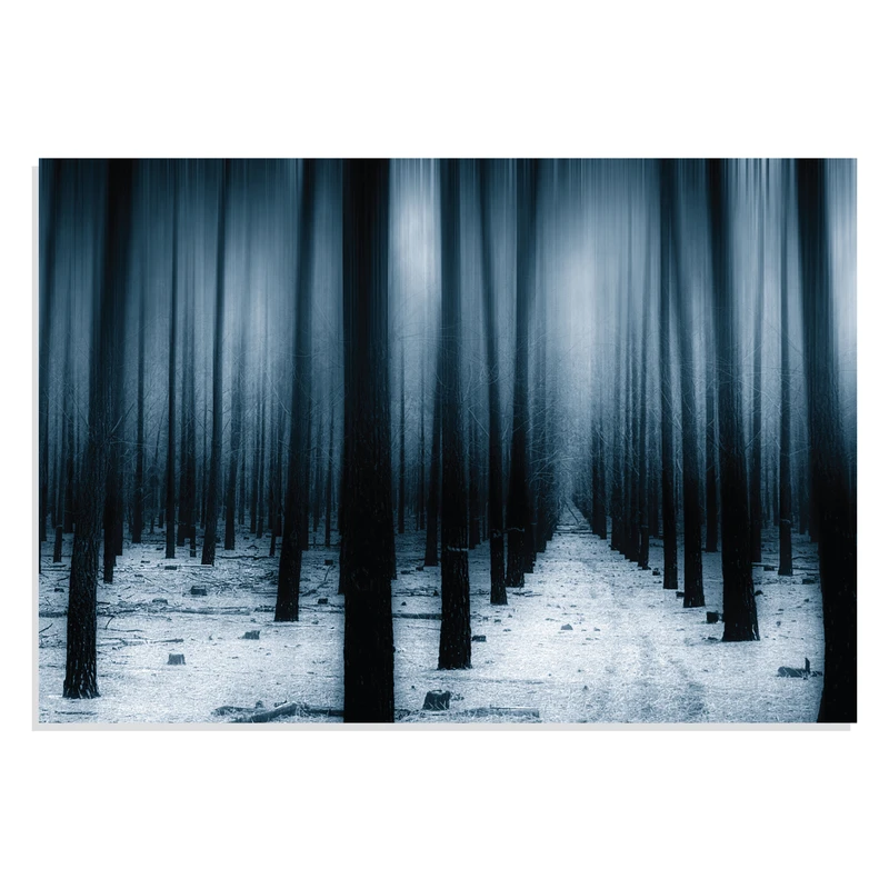 پوستر طرح جنگل تاریک برفی در زمستان Dark Forest Woods Snow Winter مدل NV0785