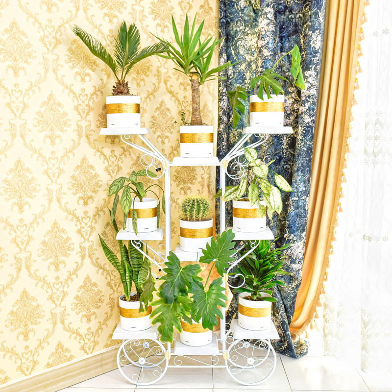 استند گلدان دکومرآت مدل سرو استند گلدان دکومرآت مدل سرو