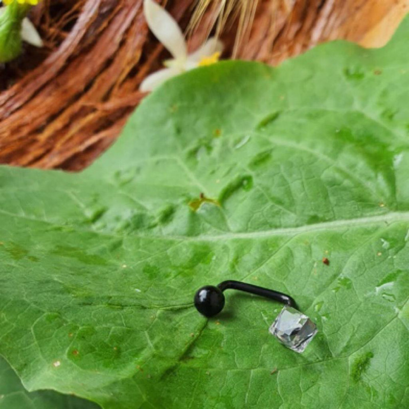 پیرسینگ گوش زنانه پایتخت مدل PS237__N