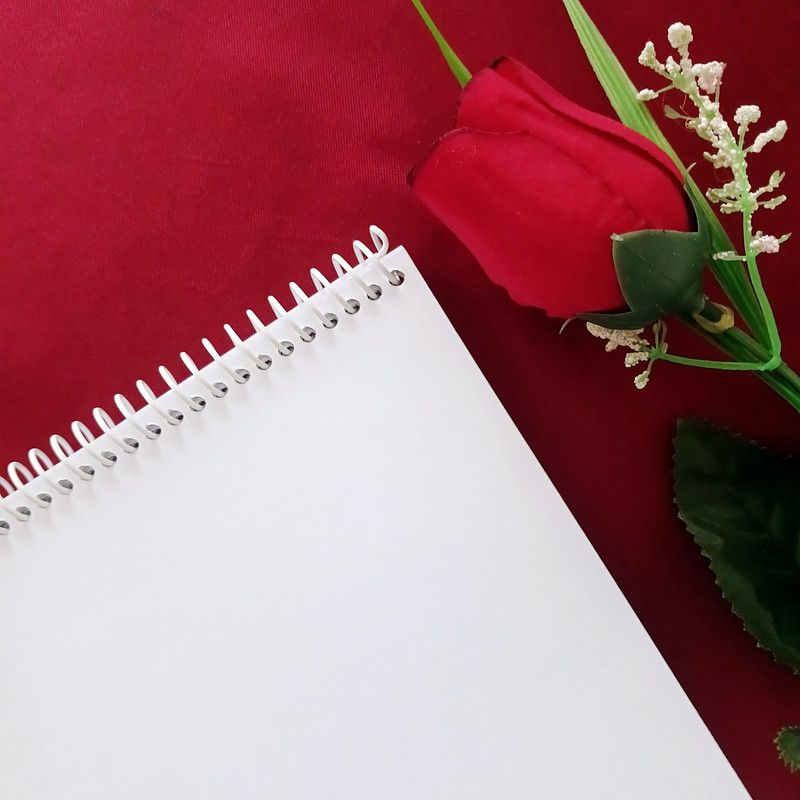 دفتر نقاشی 60 برگ مدل کالاف طرح گوست