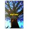آنباکس کتاب درخت آرزوها اثر کاترین اپلگیت انتشارات کانون پرورش فکری کودکان و نوجوان در تاریخ ۰۱ تیر ۱۴۰۱