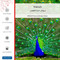 برچسب پوششی ماهوت مدل Peacock-FullSkin مناسب برای گوشی موبایل سامسونگ Galaxy F12 1