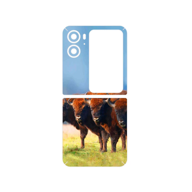 برچسب پوششی ماهوت مدل Buffalo مناسب برای گوشی موبایل اپو Find N2 Flip
