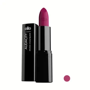 رژ لب جامد Elitebeauty سری AUDACITY مدل LUXURY BROWN شماره 106