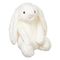 آنباکس عروسک خرگوش مدل White Jelly Cat ارتفاع 25 سانتی متر توسط محمدهادی فتح الهی در تاریخ ۲۵ بهمن ۱۴۰۰