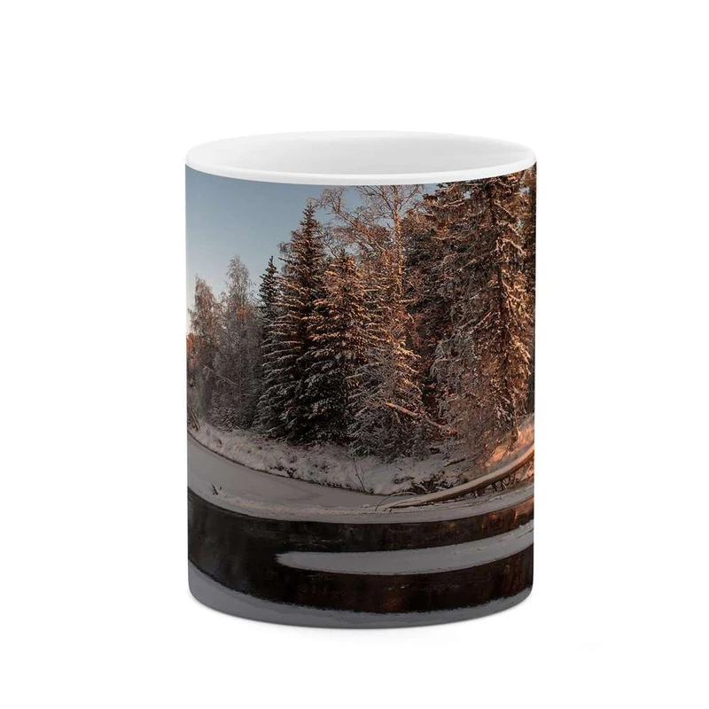 ماگ کاکتی مدل منظره کد mgh13264