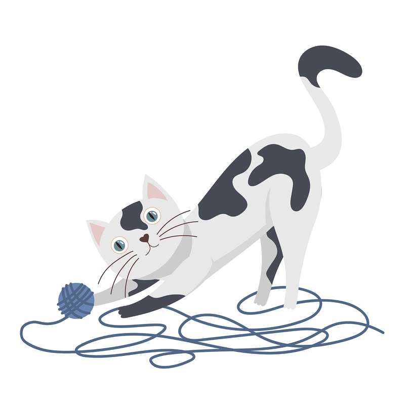  استند تولد رومیزی طرح گربه کد 423