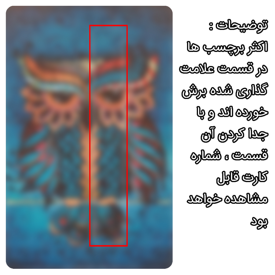 عکس شماره 2