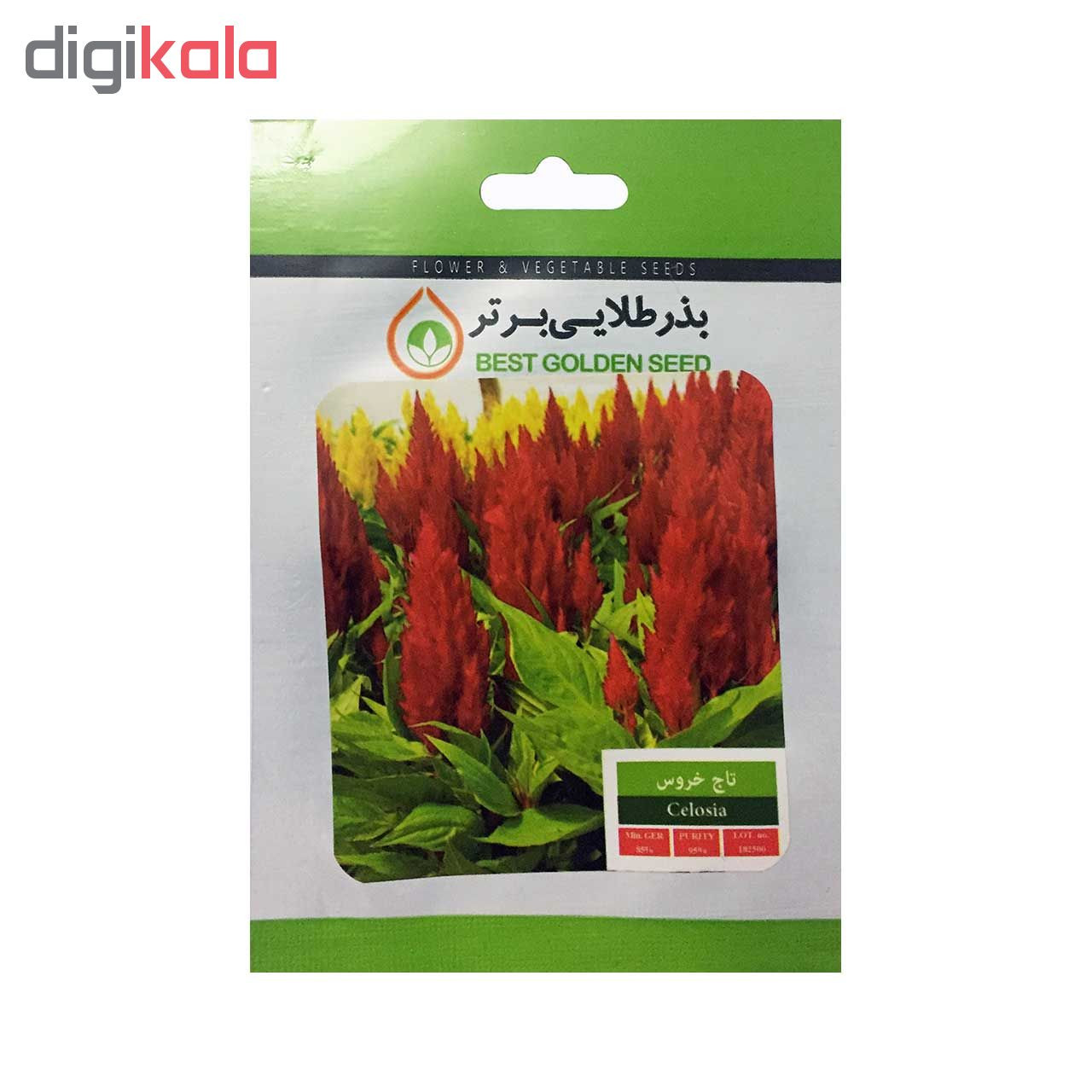 بذر گل تاج خروس بذر طلایی برتر کد BZT-10